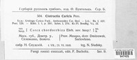 Anthracoidea caricis image